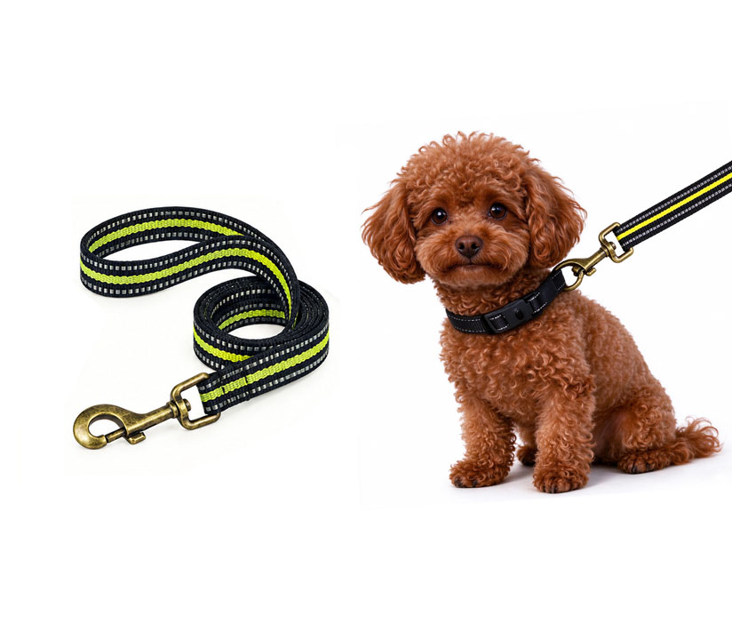 Puppy Pet Leash Webbing Heavy Duty Polyester Material for Small Dog Leashes